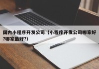 国内小程序开发公司（小程序开发公司哪家好?哪家最好?）