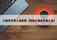 小程序开发人员配置（微信小程序开发人员）