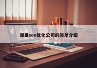 湖里seo优化公司的简单介绍