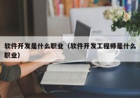 软件开发是什么职业（软件开发工程师是什么职业）